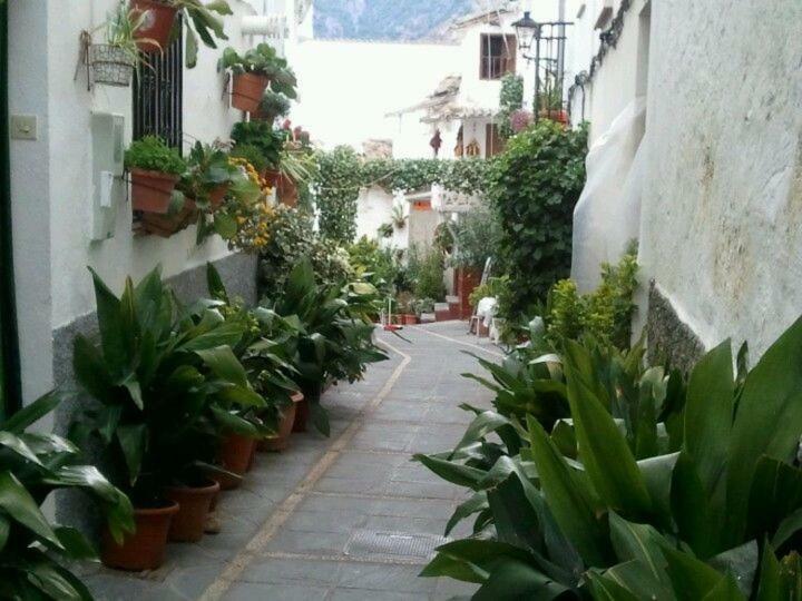 Casa San Tomas Villa Guejar Sierra Luaran gambar